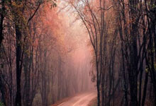 激扬旋律：欲胜欲败，充斥球场上下！