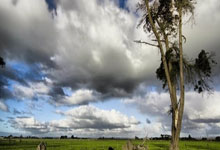 欧国联盛况：球迷共同见证精彩比赛！