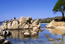 欧国联盛况：球迷共同见证精彩比赛！